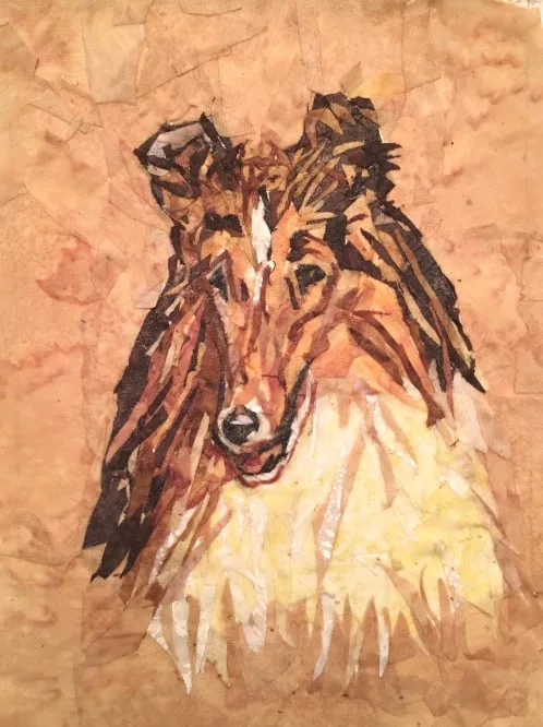 Collie